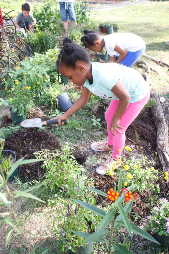 spring outdoor activities