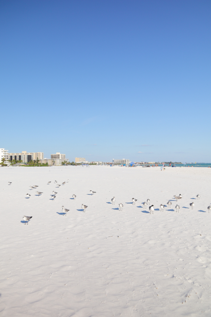 Siesta Key beach cam